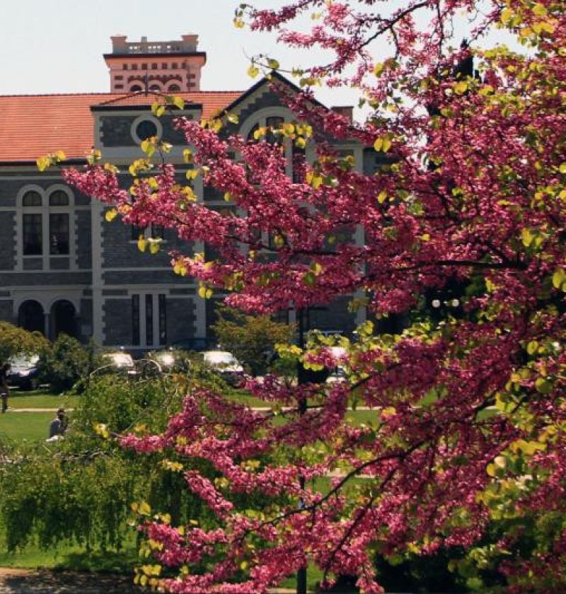 44-44_universitemiz_20250414-150905_900x530